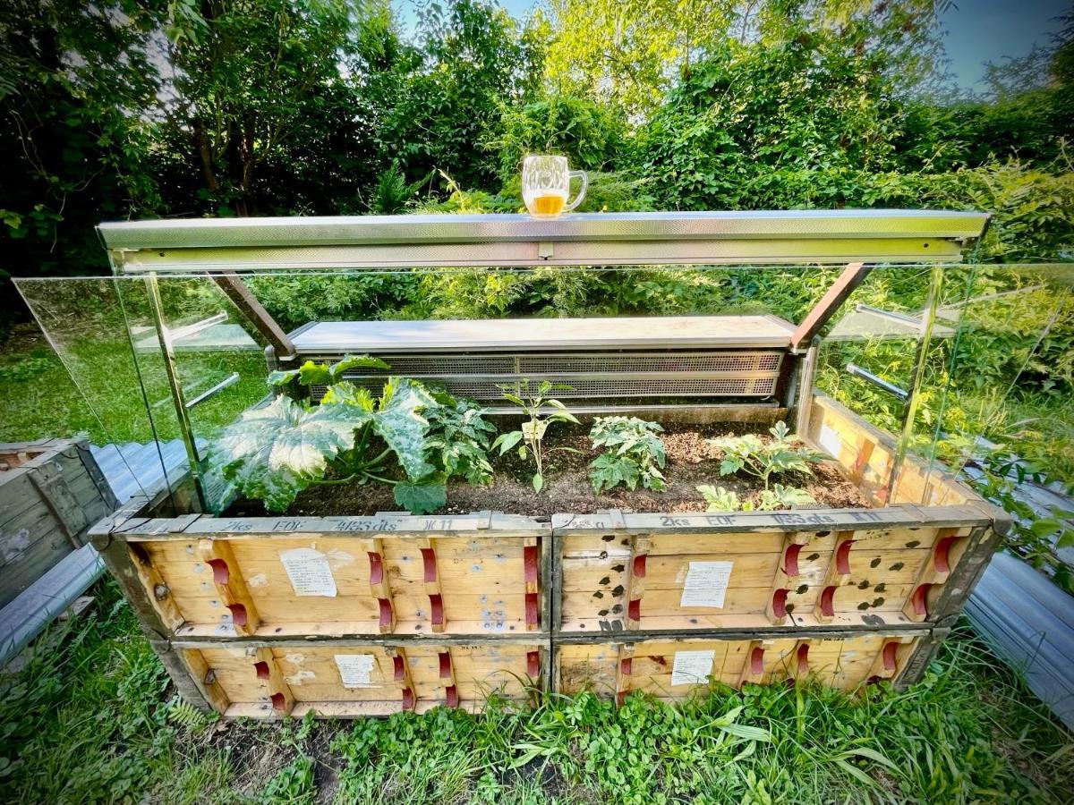 Haraburdi Recyclart Hotel Kostelec nad Orlici ภายนอก รูปภาพ